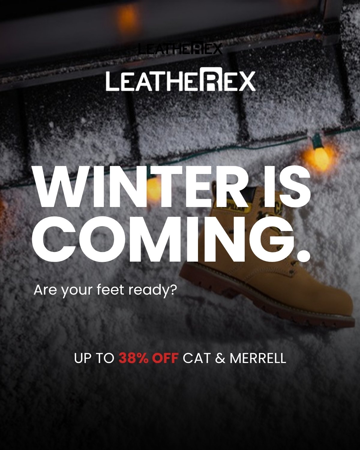 Leatherex work 27