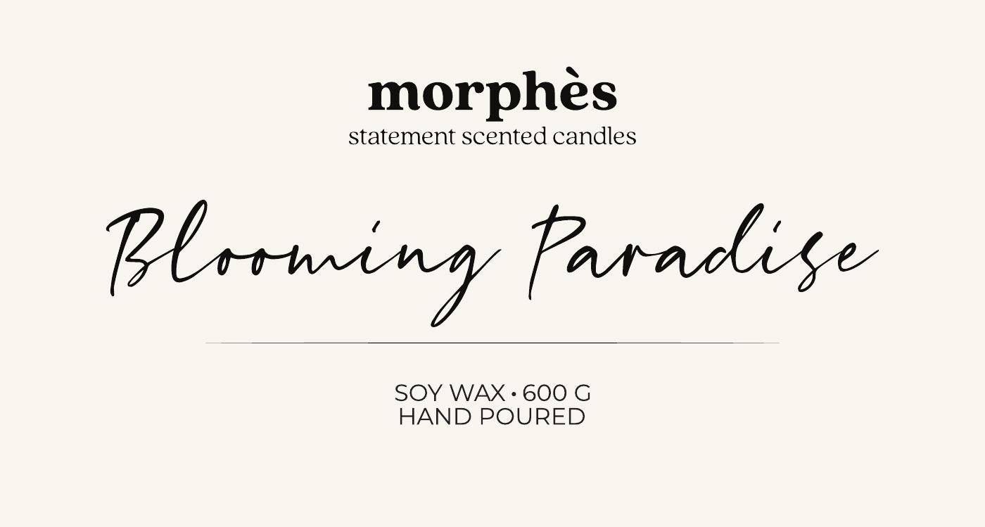 Morphes work 9