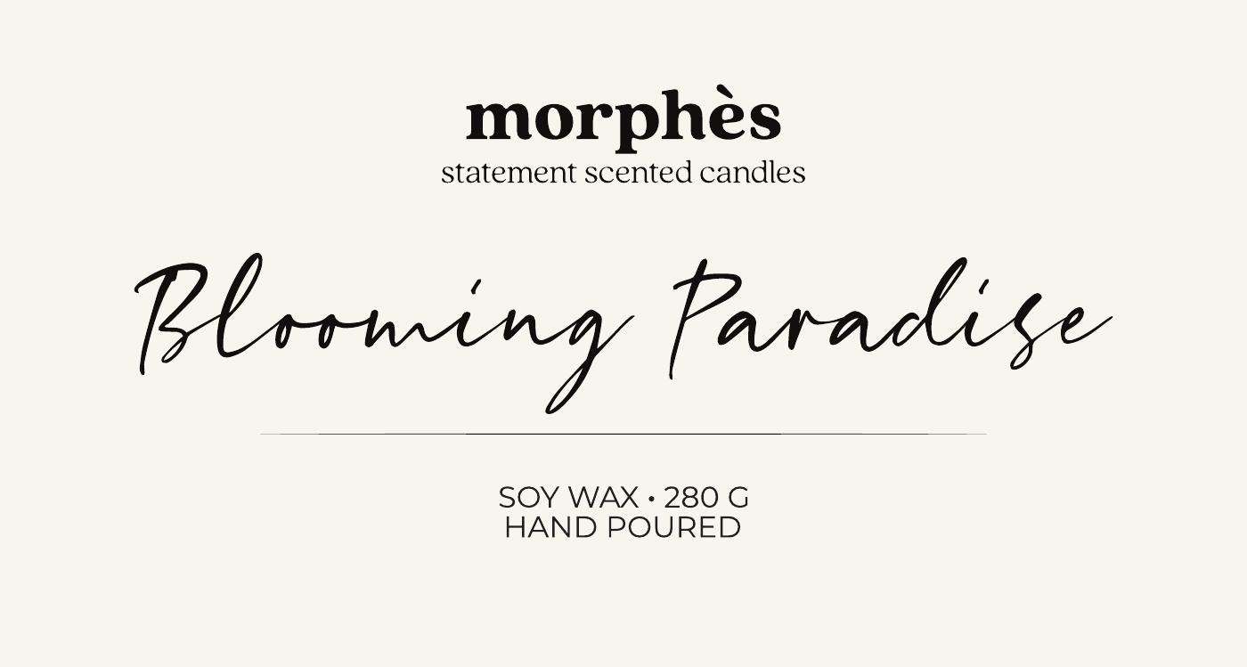 Morphes work 3