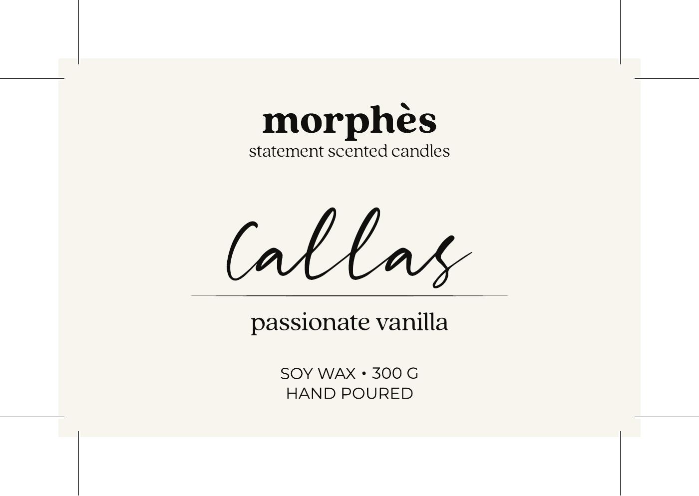 Morphes work 8